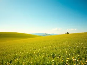 Działki pod inwestycje deweloperskie — trendy rynkowe